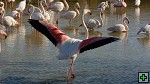 thn_DSC_7922.jpg