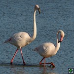 thn_DSC_7943.jpg
