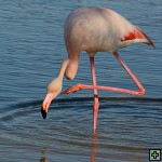 thn_DSC_7949.jpg