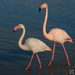 thn_DSC_7950.jpg