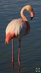 thn_DSC_7956.jpg