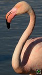 thn_DSC_7957.jpg