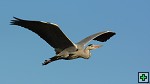 thn_DSC_7961.jpg