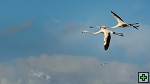 thn_DSC_7966.jpg