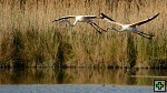 thn_DSC_7968.jpg