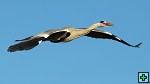 thn_DSC_7974.jpg