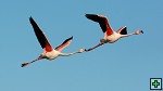 thn_DSC_7982.jpg