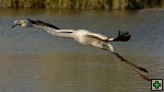 thn_DSC_8004.jpg