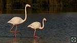 thn_DSC_8016.jpg