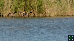 thn_DSC_8019.jpg