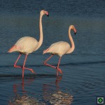 thn_DSC_8021.jpg