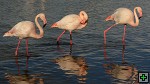 thn_DSC_8024.jpg