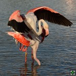 thn_DSC_8040.jpg