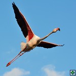 thn_DSC_8080.jpg
