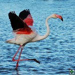 thn_DSC_8129.jpg