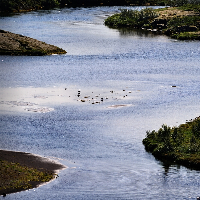 027-D91_0521_NP_Pingvellir.jpg