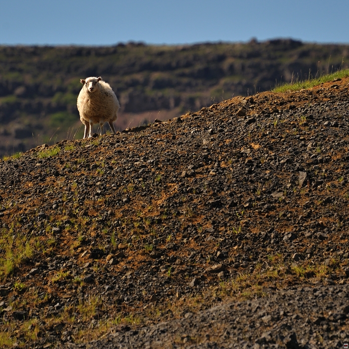 060-D91_0686_NP_Pingvellir.jpg