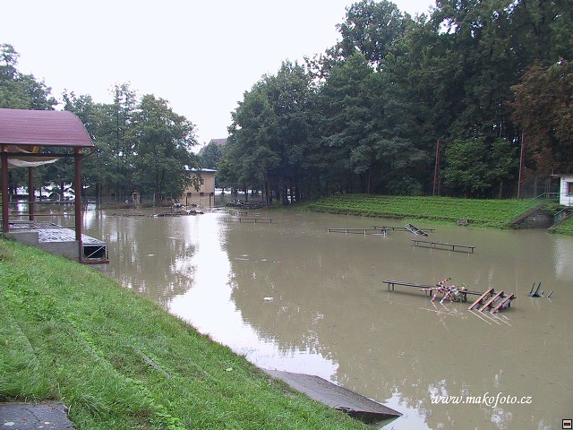 IMG_0993.jpg