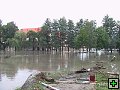 thn_IMG_0987.jpg