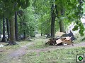 thn_IMG_1004.jpg