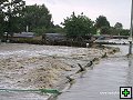 thn_IMG_1017.jpg