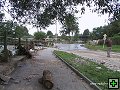 thn_IMG_1020.jpg