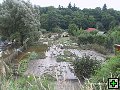 thn_IMG_1029.jpg