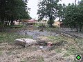 thn_IMG_1055.jpg